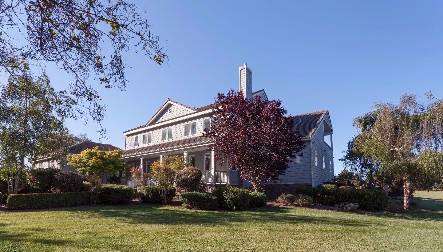 The house and front garden